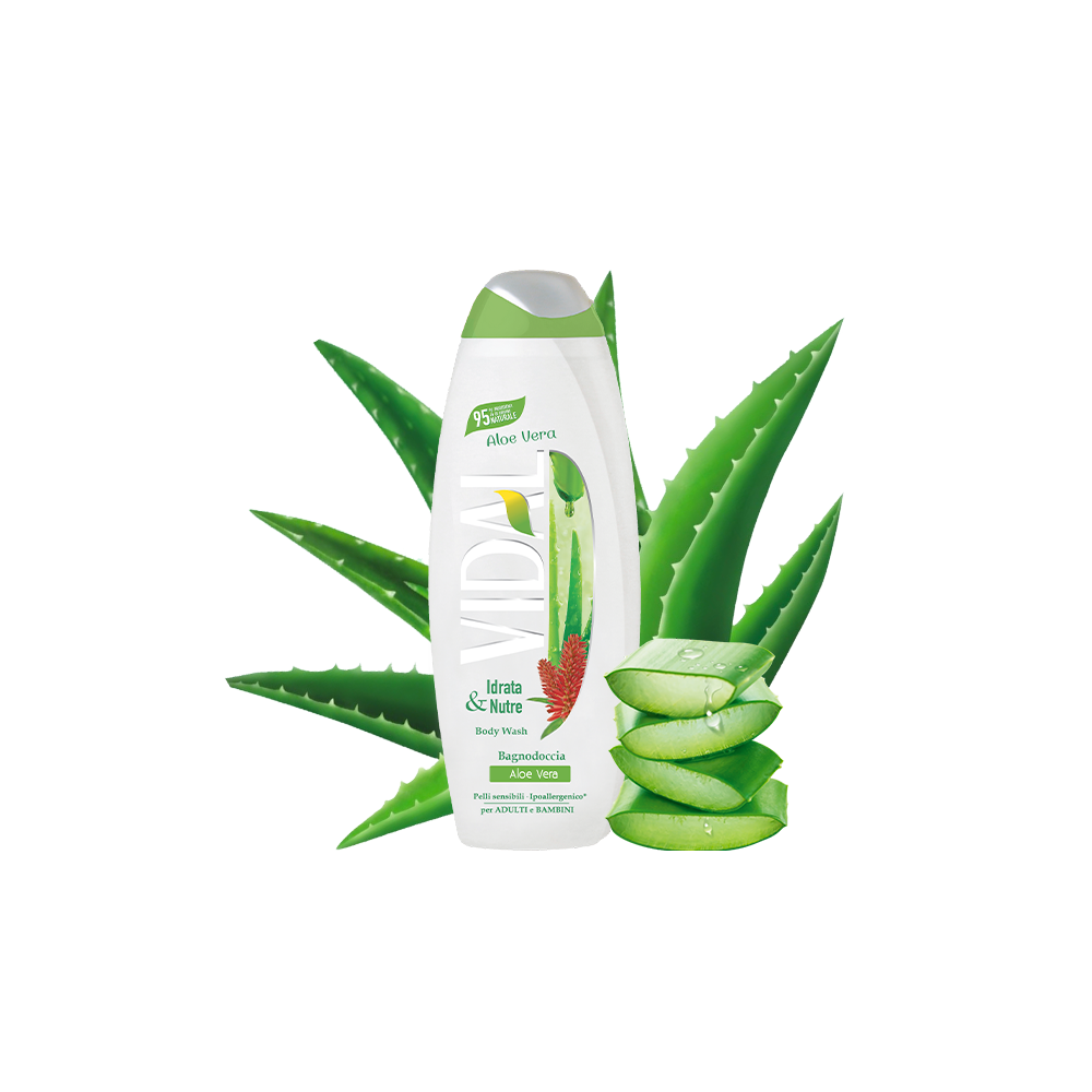 DOCCIA VIDAL ALOE VERA ML.250