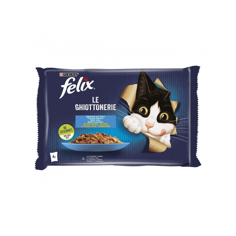 FELIX GHIOTTONERIE SA/TON4x85g