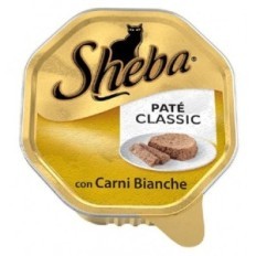 SHEBA PATE'CONIGLIO/ANA