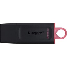 MEMORIA USB 256GB 3.2 KINGSTON DTXM/256GB