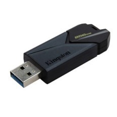 MEMORIA USB 256GB 3.2 KINGSTON DTXON/256GB