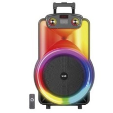 Cassa acustica trolley 15 Luce LED Bluetooth/SD/USB/Radio