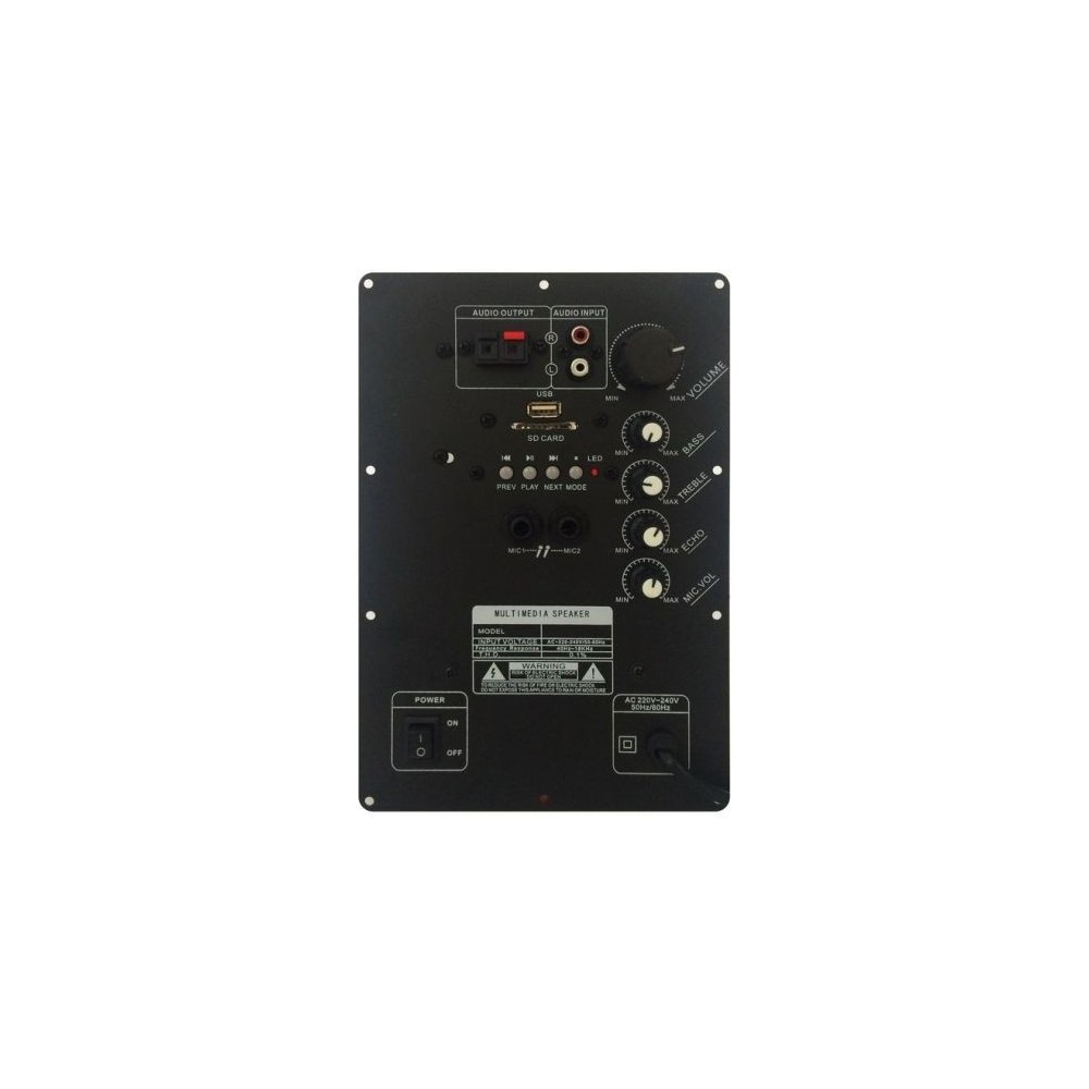 Modulo amplificatore PM100 per cassa acustica