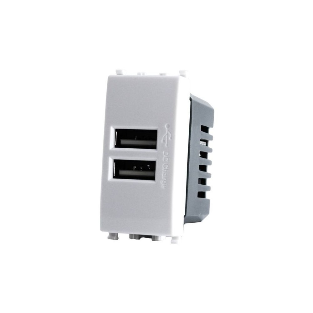 Alimentatore doppia presa USB 5V 2A 4.5x2x4.5cm Bianco compatibile Vimar Plana