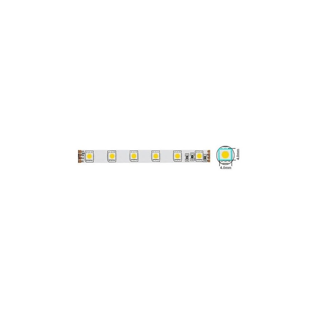 Striscia LED 144W/m 1200lm luce fredda 6500K 12V IP20 5m Vito