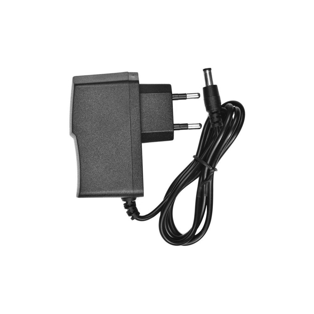 Alimentatore 5V 500 mAh