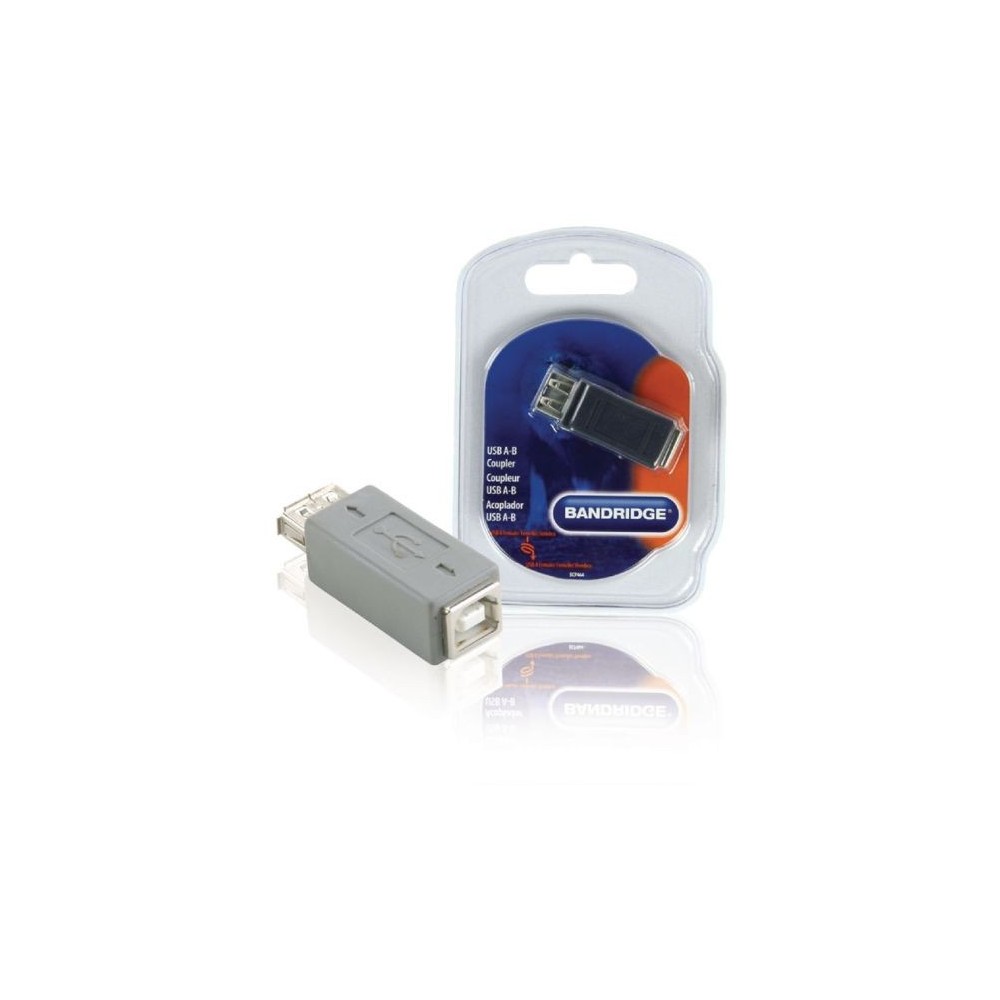 Adattatore USB 2.0 USB A Femmina - B Femmina Grigio