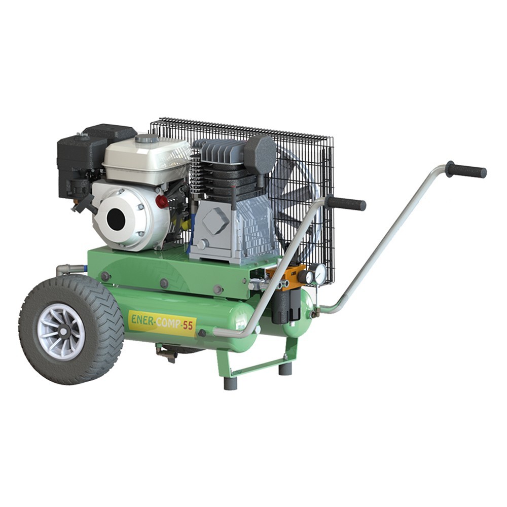 MOTOCOMPRESSORE ENERCOMP 55 Hp 48