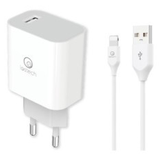 SET DI CARICA DA MURO A SINGOLA USB cavo USB attacco lightning apple (pot.max 18W)